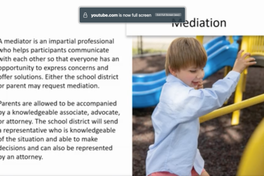 boy plays on a playground